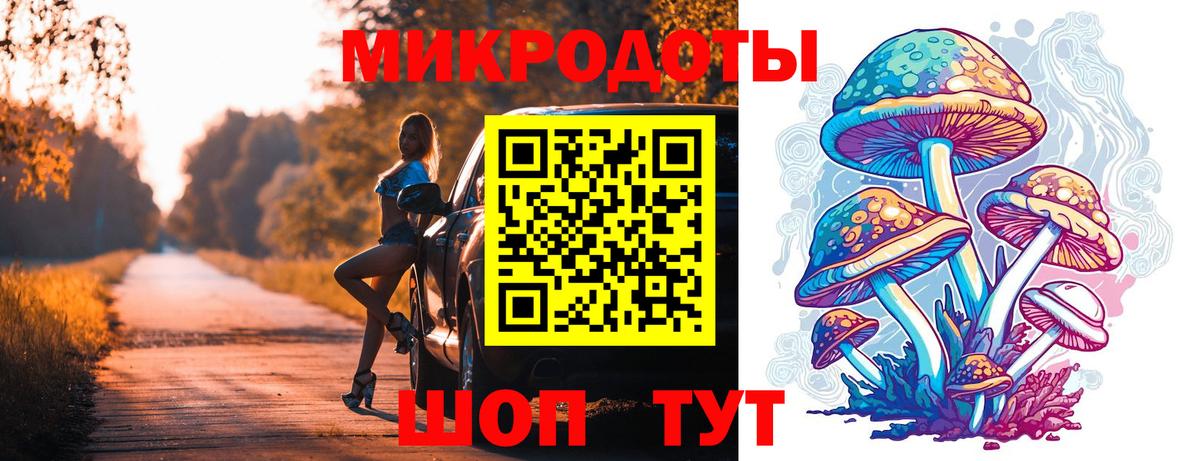Галлюциногенные грибы Cubensis Боровичи